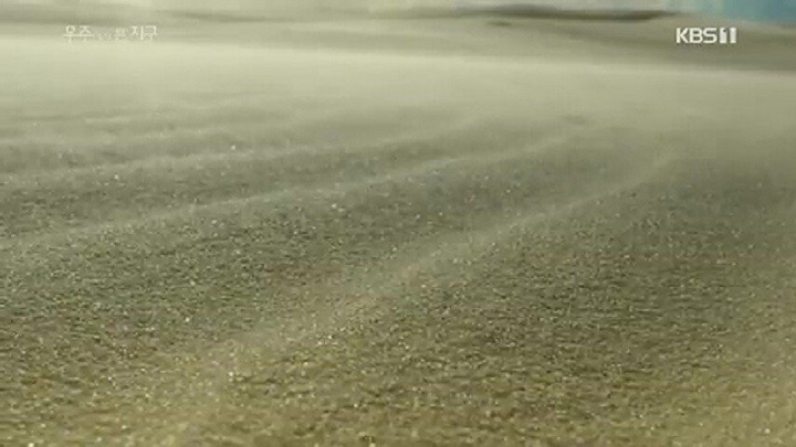 거북이가 사막을 건너는 이유 .jpgif | 인스티즈