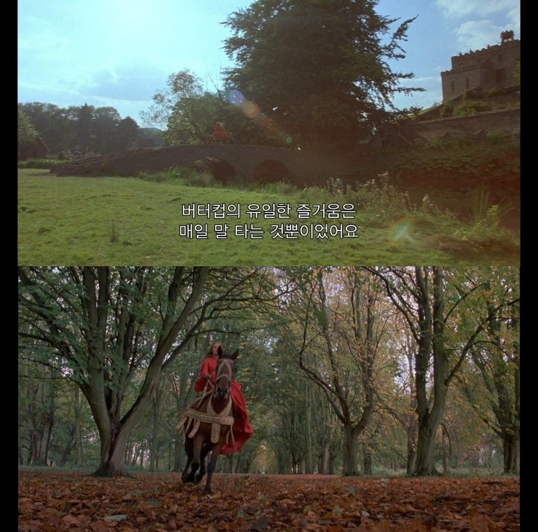 할아버지가 문병 와서 공주님 사랑이야기 들려주는데 | 인스티즈