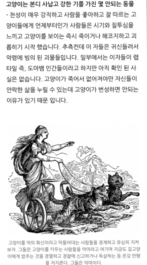 귀신 악령이 가장 싫어하는 고양이 | 인스티즈