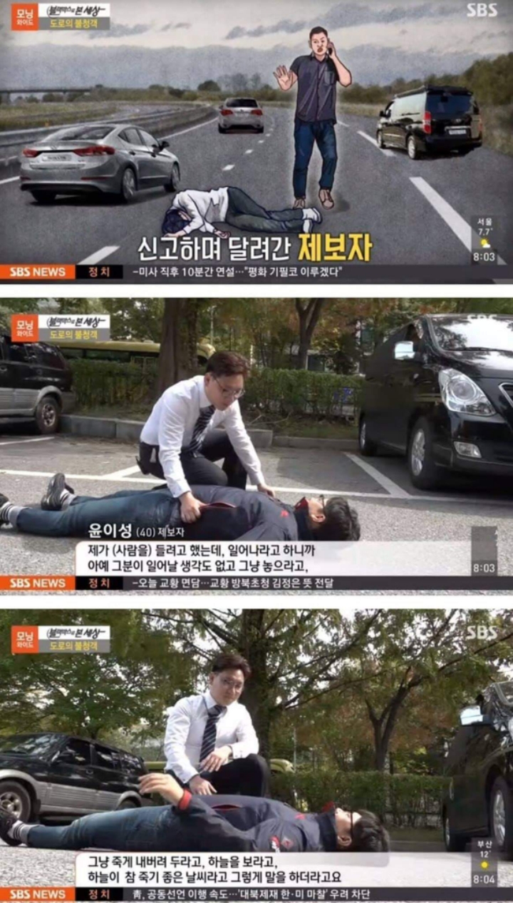 도로의 불청객.jpg | 인스티즈