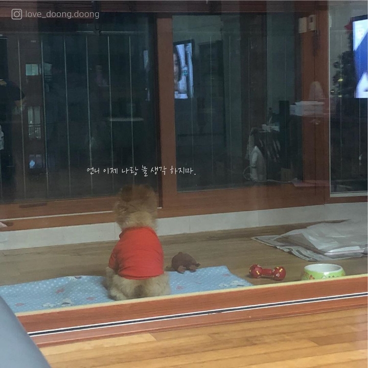 언니 이제 나랑 놀 생각 하지마 | 인스티즈