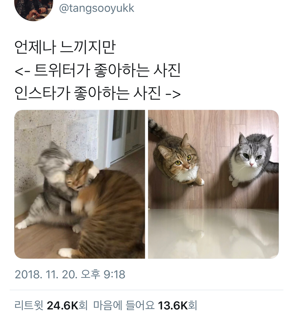 트위터 감성 vs 인스타 감성 | 인스티즈