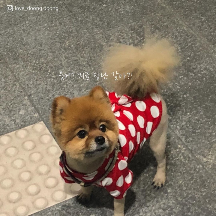 언니 이제 나랑 놀 생각 하지마 | 인스티즈