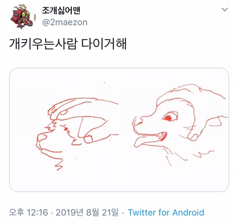 개 키우는 사람은 꼭 한번씩은 무조건 해봄 | 인스티즈