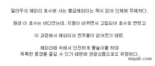 지구상에 하나밖에 없는 호수.jpgif | 인스티즈
