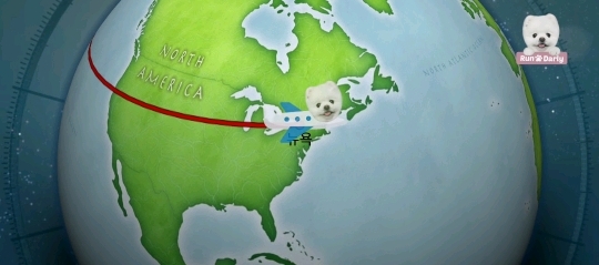 🐶강아지 달리의 비행기 1등석 체험기 .gif | 인스티즈