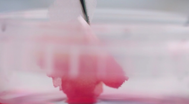 샤넬로 보는 명품이 명품인 이유 | 인스티즈