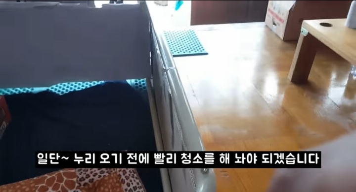 어머냥이 눈치보면서 냥이집 청소하는 아저씨ㅋㅋㅋ.jpg | 인스티즈