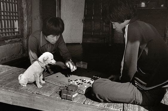 c22da3f6eb107d928410e37e6e7e065b7ab68b00