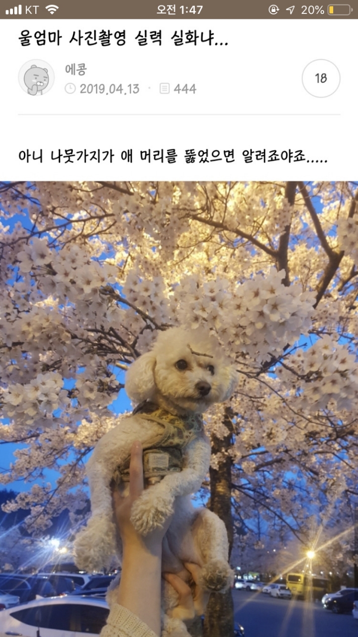 나 죽고싶어 보톡하는줄도 모르고 오줌쌌어..ㄷㄷ..JPG | 인스티즈