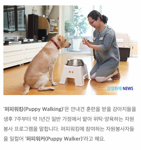 c883a774f7b8e70787e416820ca73aaf8706a628