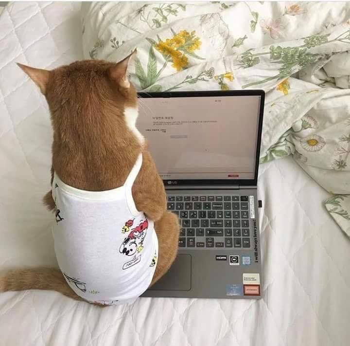 고영 이미지