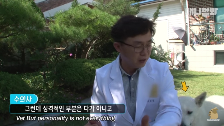 그알 갈색푸들보다 친화력 오지는 뻔순이 | 인스티즈