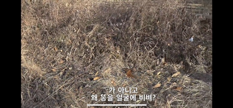 공장에서 평생 묶여사는 개 처음으로 산책시킨 유튜버 | 인스티즈