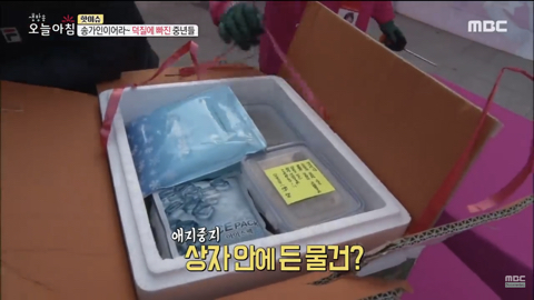 송가인 팬클럽에서만 볼 수 있는 진풍경 | 인스티즈