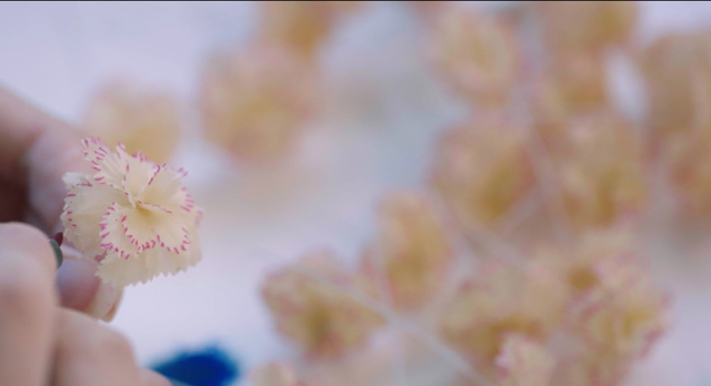 샤넬로 보는 명품이 명품인 이유 | 인스티즈