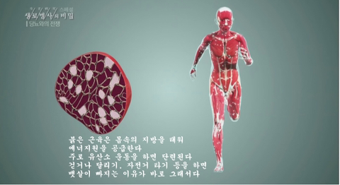 d2cd79eb3c9775b4f37564ea6fce2db6c8fb85c1