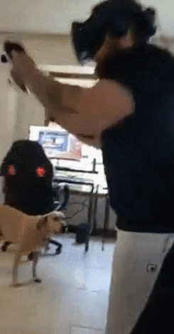 VR게임하는 주인을 바라보는 댕댕이.gif | 인스티즈