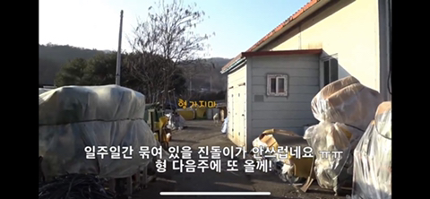 공장에서 평생 묶여사는 개 처음으로 산책시킨 유튜버 | 인스티즈