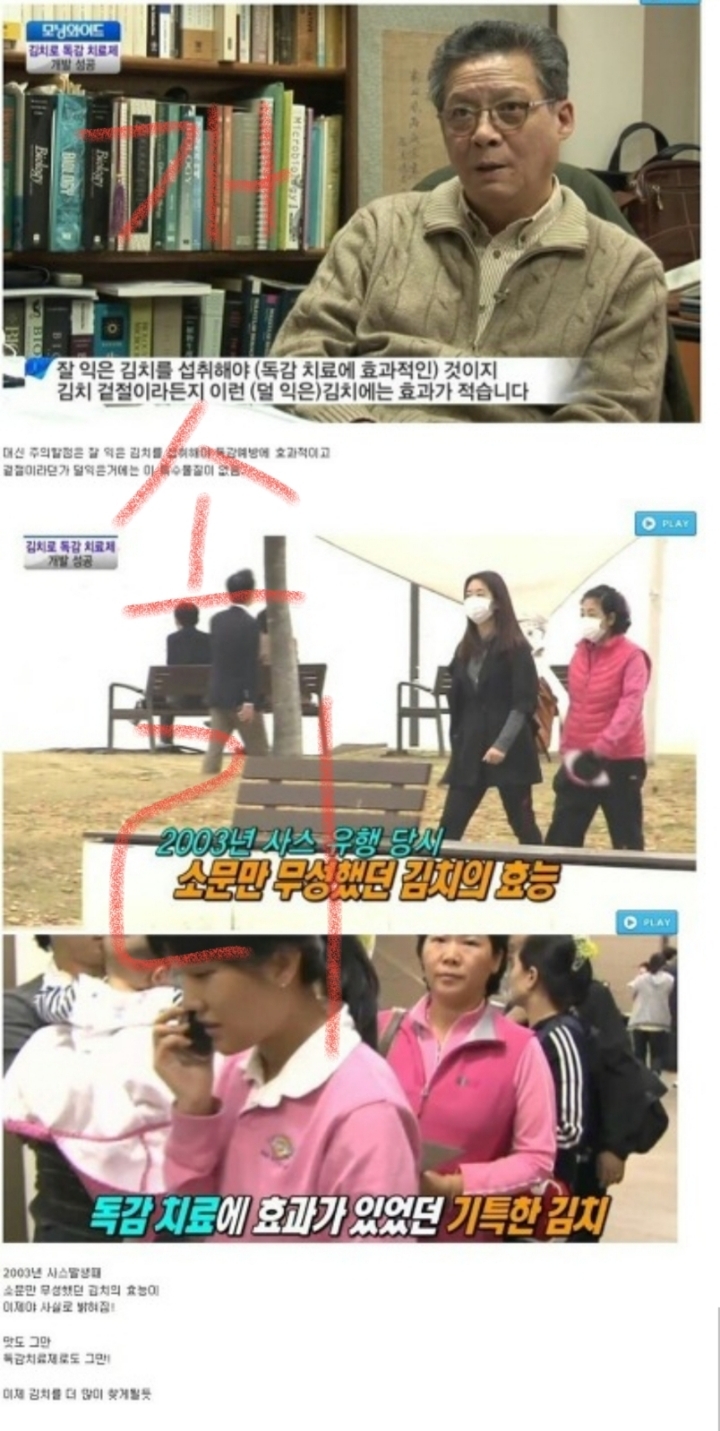 김치에게 언론이 모든 공을 돌렸던 그시절 | 인스티즈