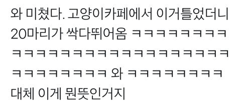 화장실에 간 집사를 구하기 위해 용맹하게 울부짖는 고영 | 인스티즈