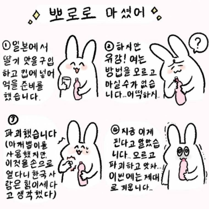 한국을 좋아하는 일본인의 그림 | 인스티즈