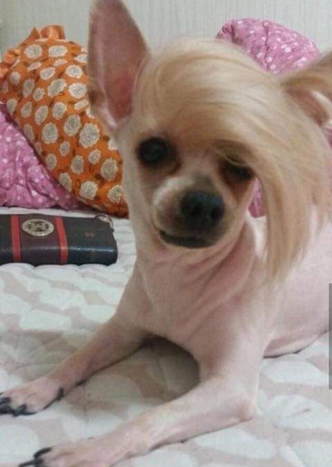 가르마 이미지
