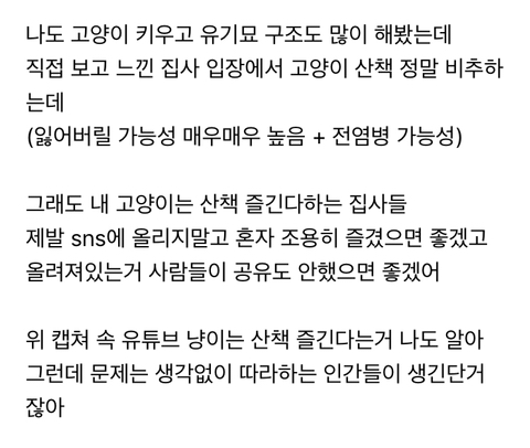 위험성을 고지하지않은 산책냥이 sns공유 및 유튜브 컨텐츠가 위험한 이유 | 인스티즈