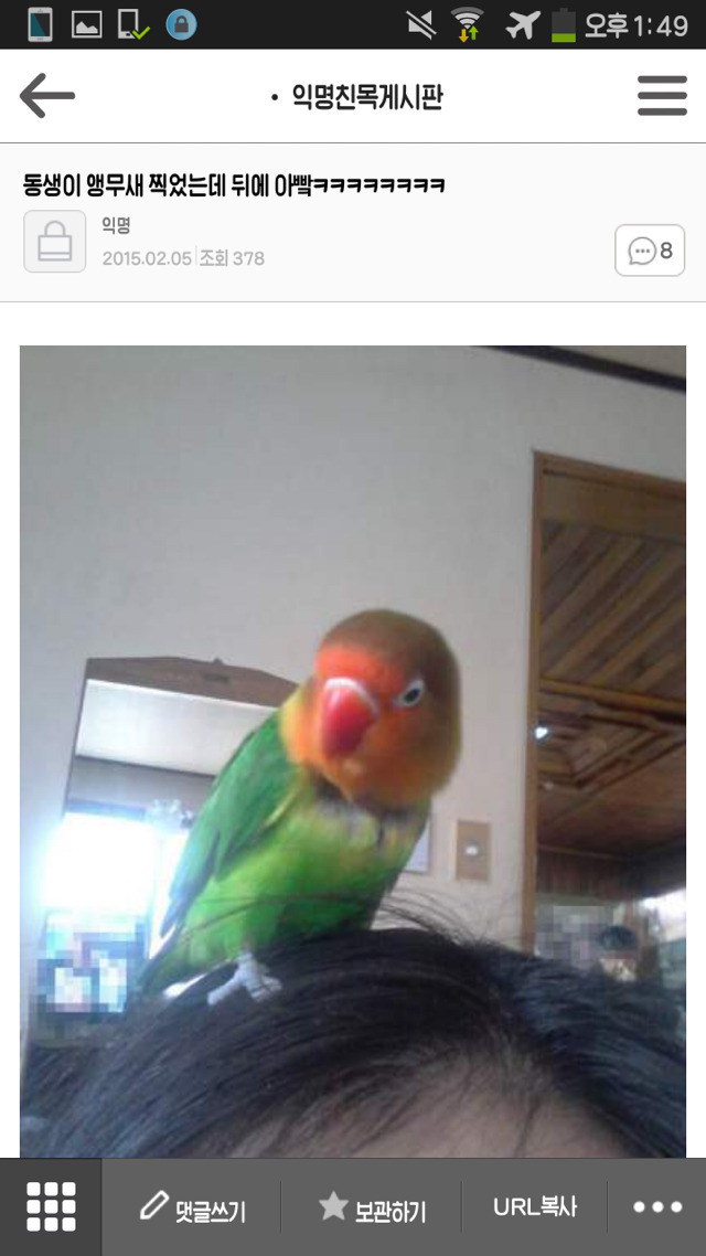 나 죽고싶어 보톡하는줄도 모르고 오줌쌌어..ㄷㄷ..JPG | 인스티즈