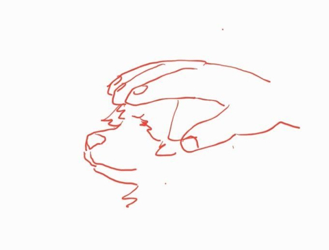 개 키우는 사람은 꼭 한번씩은 무조건 해봄 | 인스티즈