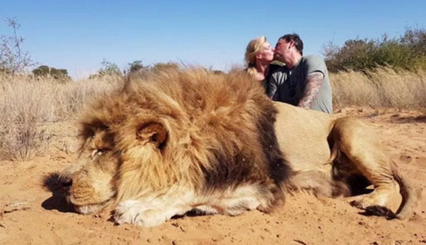 미국인들이 즐기는 불법같지만 합법적인 취미 중 하나 | 인스티즈