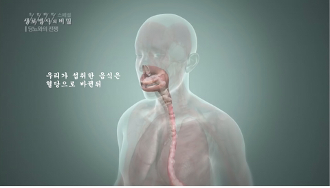 edcddc1a24b70d9e7bba6e4c280ba8265048f89c