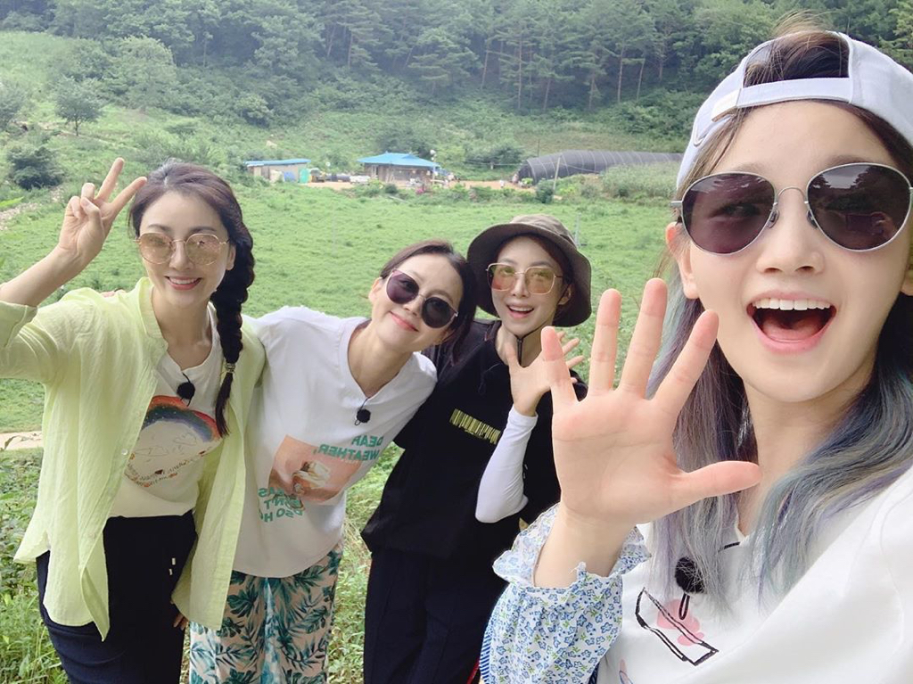 삼시세끼 이미지