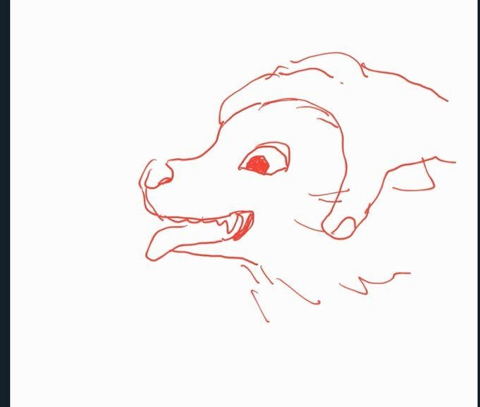 개 키우는 사람은 꼭 한번씩은 무조건 해봄 | 인스티즈