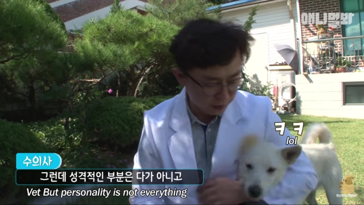 그알 갈색푸들보다 친화력 오지는 뻔순이 | 인스티즈