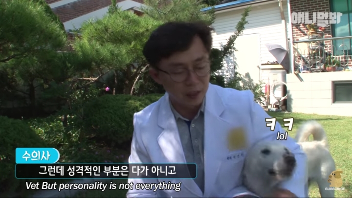 그알 갈색푸들보다 친화력 오지는 뻔순이 | 인스티즈