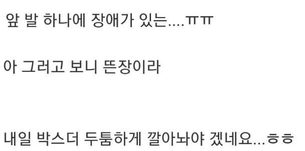 버려진 강아지들 잡아옴.jpg | 인스티즈