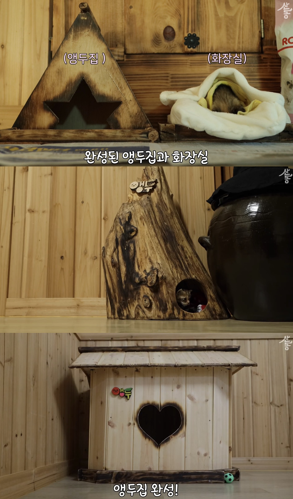 냥토피아 이미지