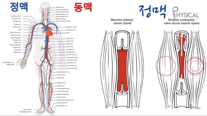 다리붓기가 안 빠지는 진짜 이유(해결방법나옴) | 인스티즈
