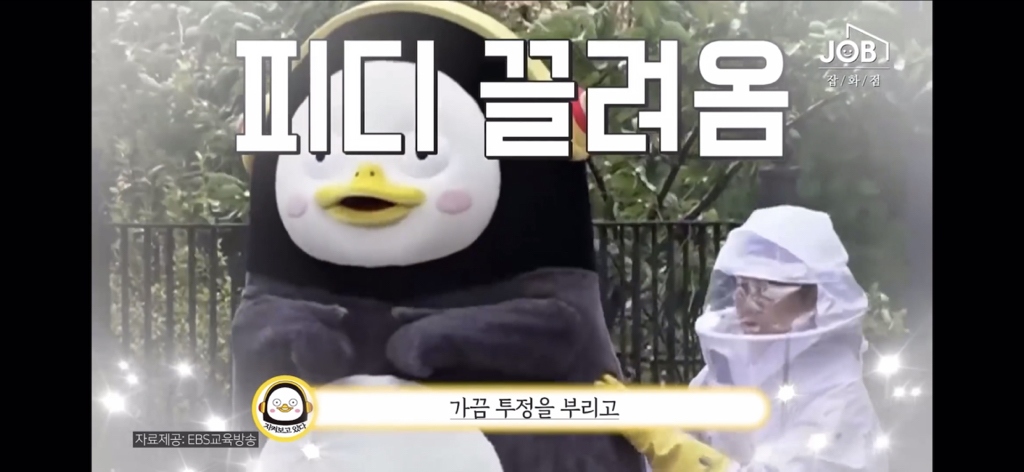 구매현피 박째영이 말하는 펭수가 EBS 오디션을 보기까지 (feat.미친 세계관) | 인스티즈