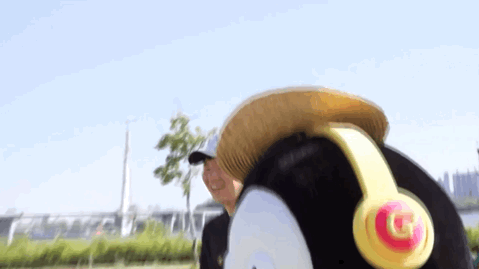 펭귄이 한강에서 일하다가 최애 연예인을 만났을 때.jpgif | 인스티즈