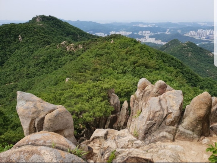 푸줏간경인 이미지