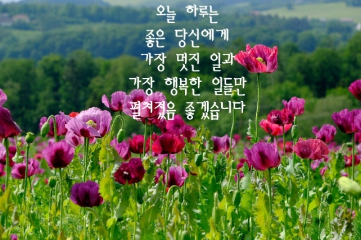 오늘하루 이미지