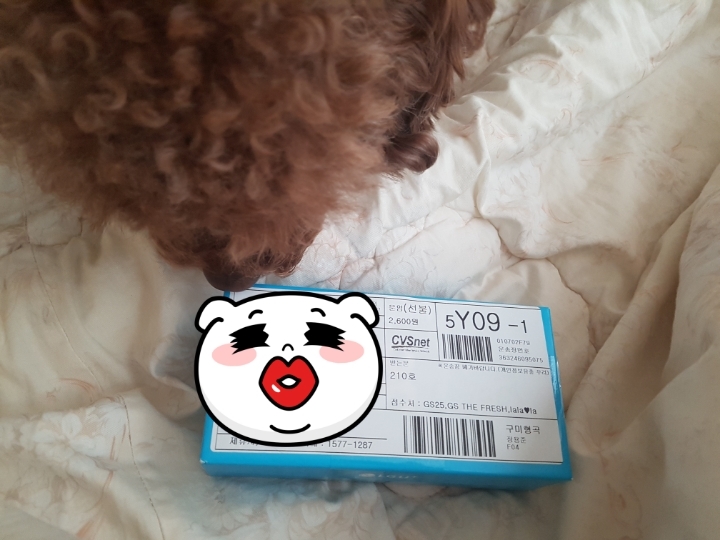 띵동 이미지