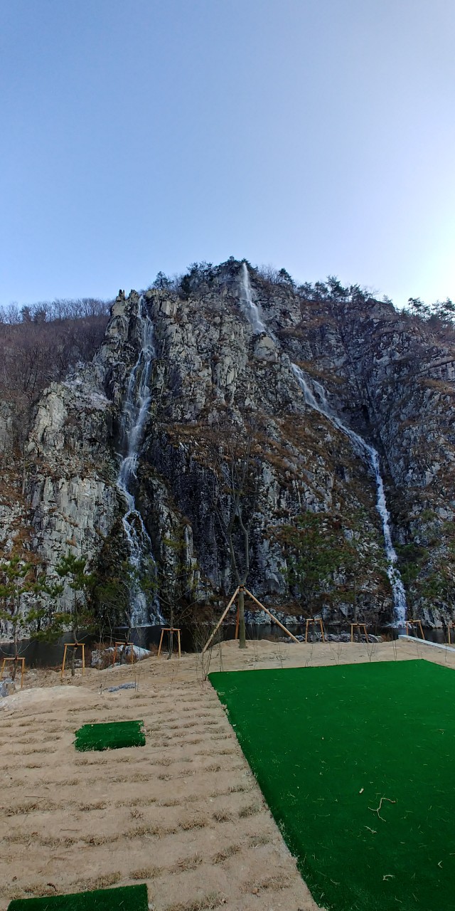 대상드림벨트 이미지