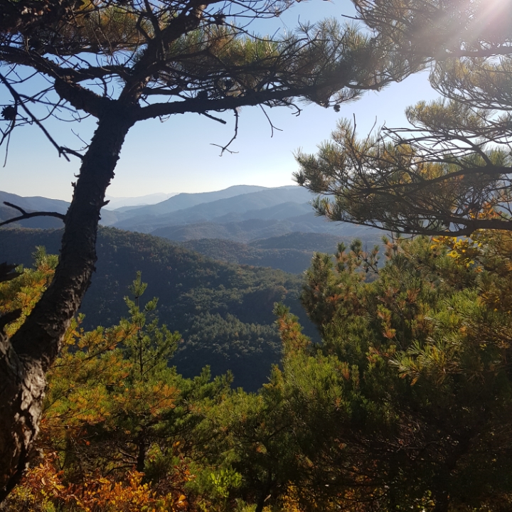 석바이크 이미지