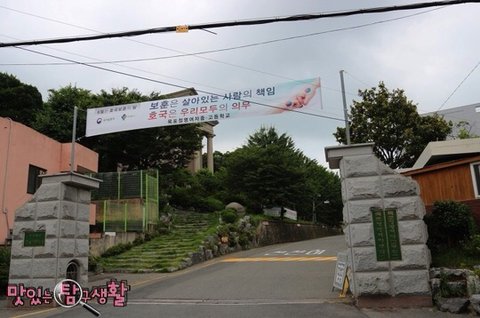 분식29 이미지