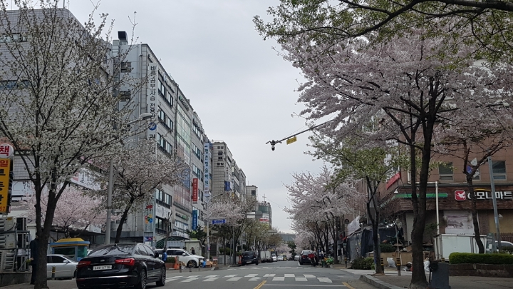 봉이네식당 이미지