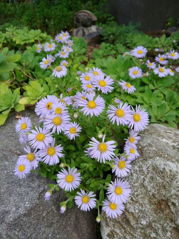 한마당노래연습장 이미지
