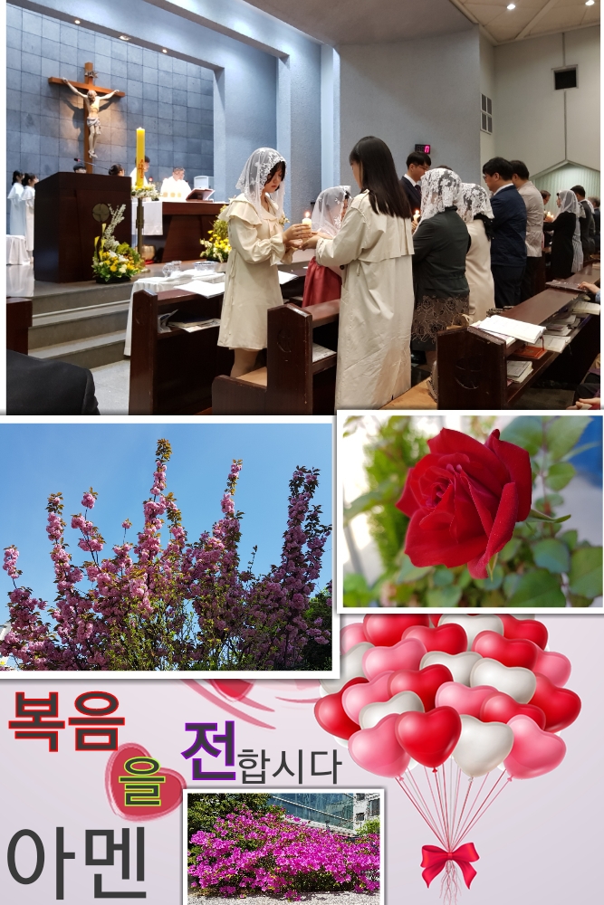 꿈우린 이미지